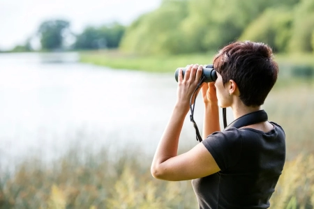 Birdathon at Viles