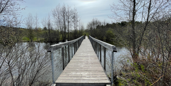 viles arboretum boardwalk