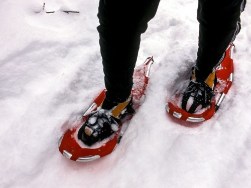 Cross Country Ski Snowshoe Rentals