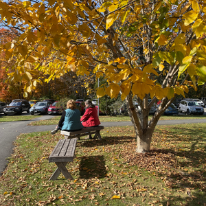 Viles Arboretum fall sitting on bench