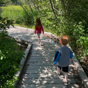 Viles Arboretum kids on boardwalk