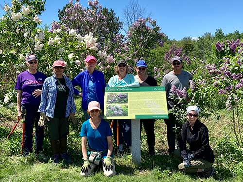 membership lilacs